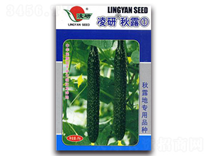 ������¶��-�S�ϷN��-�ʴ��r�I(y��)