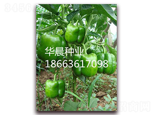 �P�أ����m��-�𽷷N��-�A���N�I(y��)