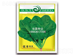 ��(y��u)�S����-���˷N��-�A���N�I(y��)