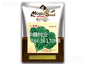 ʥ�Ფ��-���˷N��-�A���N�I(y��)