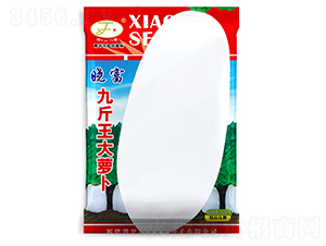 �Ž������}��-�}���N��-�Ը��N��