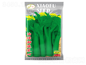 �;G������-���ķN��-�Ը��N��