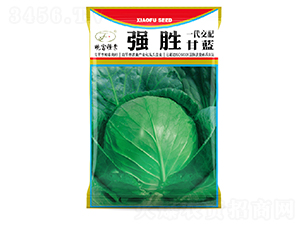 ���ٸ��{-���{�N��-�Ը��N��