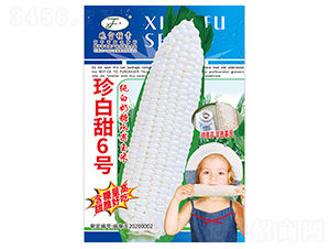 �����6̖-���׷N��-�Ը��N��