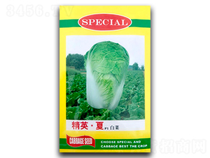 精英夏F1-白菜種子-官明天成