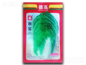 秋實(shí)-白菜種子-官明天成