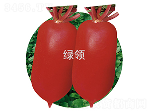 �ļt2̖-�}���N��-�G�I(l��ng)�N�I(y��)