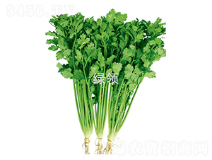 �F�U���-��˷N��-�G�I(l��ng)�N�I(y��)