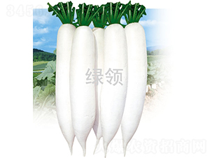 ���1̖-�}���N��-�G�I(l��ng)�N�I(y��)