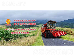 2021款4YZ-4W/4WA自走式玉米收獲機(jī)-中聯(lián)收獲
