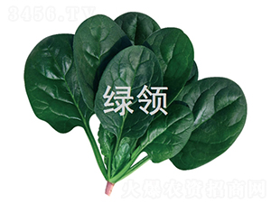 ī�G1807-���˷N��-�G�I(l��ng)�N�I(y��)