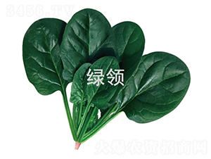 ī�G1806-���˷N��-�G�I(l��ng)�N�I(y��)