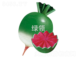 �G�I(l��ng)�M�üt-�}���N��-�G�I(l��ng)�N�I(y��)