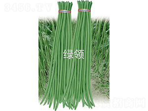 ������-���ǷN��-�G�I(l��ng)�N�I(y��)