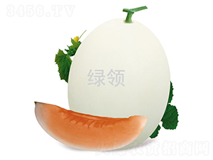 L-1551-甜瓜種子-綠領(lǐng)種業(yè)