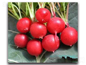 �����}���N��-�����Z