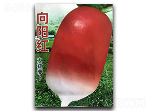 ��ꖼt��t�}��-�}���N��-�����Z