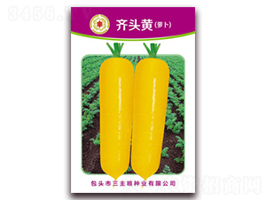 �R�^�S�}��-�}���N��-�����Z