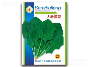 ���~����-���˷N��-�����Z