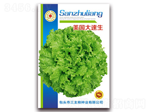 ����������-��˷N��-�����Z