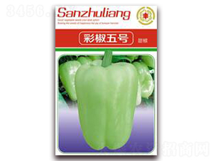 �ʽ���̖-�ʽ��N��-�����Z