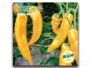 �ʽ���̖-�ʽ��N��-�����Z