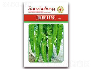 ¹��11̖����-�����N��-�����Z