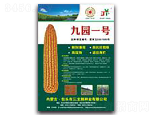 �ň@һ̖-���׷N��-�����Z