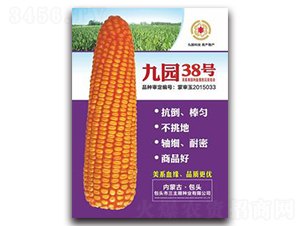 �ň@38̖-���׷N��-�����Z