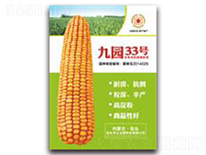 �ň@33̖-���׷N��-�����Z