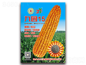 �ň@15-���׷N��-�����Z