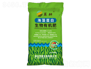 ���嵰�������ЙC��-����-ïʢ����