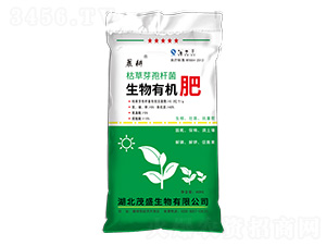 �����ЙC��-����-ïʢ����