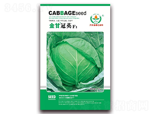 金甘冠英-甘藍(lán)種子-金蕾種苗