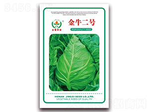 金牛二號(hào)-甘藍(lán)種子-金蕾種苗
