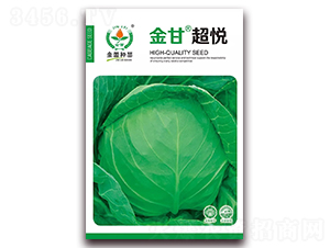 金甘超悅-甘藍(lán)種子-金蕾種苗