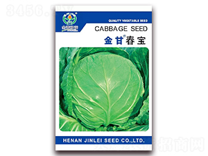 金甘春寶-甘藍(lán)種子-金蕾種苗