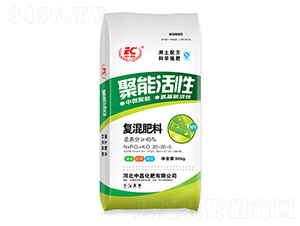 ���ܻ��ԏ�(f��)�����20-20-5-�в�