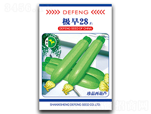 �O��28-�����J�N��-���S�N�I(y��)