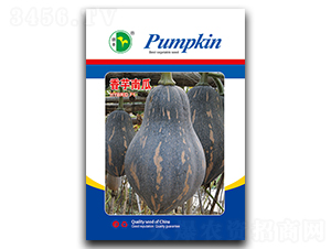 �����Ϲ�-�ϹϷN��-���S�N�I(y��)