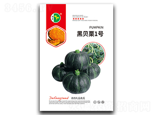 ��ؐ��1̖(h��o)-�ϹϷN��-���S�N�I(y��)