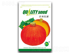 �ձ��t��-�ϹϷN��-���S�N�I(y��)