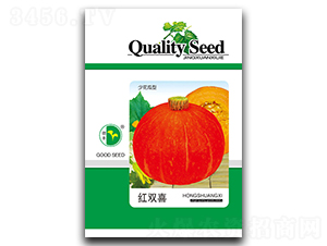 �t�pϲ-�ϹϷN��-���S�N�I(y��)