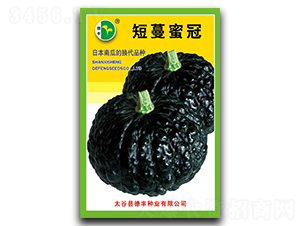 �����۹�-�ϹϷN��-���S�N�I(y��)