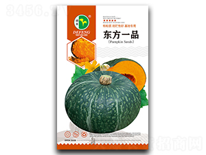 �|��һƷ-�ϹϷN��-���S�N�I(y��)