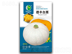 ���S����-�ϹϷN��-���S�N�I(y��)