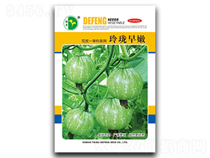 �ᭇ����-�ϹϷN��-���S�N�I(y��)