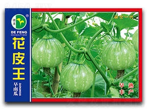 ��Ƥ��-�ϹϷN��-���S�N�I(y��)