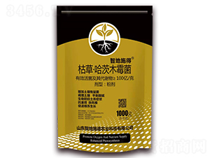 �ݲݡ�����ľù��-�ǵ�ʩ��-�|��