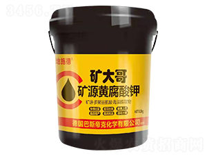 �VԴ�S�����-�V���-�|��